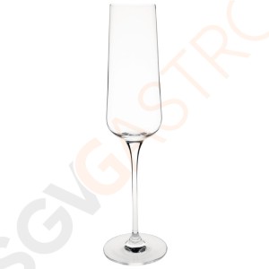 Olympia Claro Champagnergläser 26cl 6 Stück | Kapazität: 26cl | Kristall