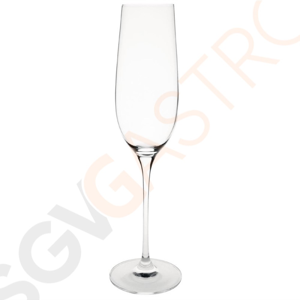 Olympia Campana Champagnergläser 26cl 6 Stück | Kapazität: 26cl | Glas