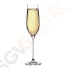 Olympia Campana Champagnergläser 26cl 6 Stück | Kapazität: 26cl | Glas