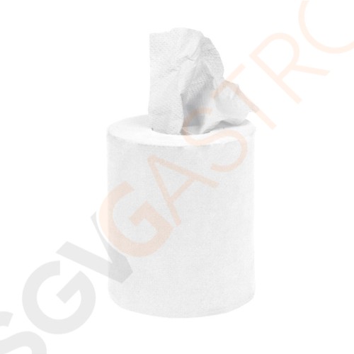 Jantex Handtuchrollen für Innenabrollung klein weiß 1-lagig - 12 Stück Geeignet für Spender GD835 | 12 Stück | 120m | 1-lagig | weiß