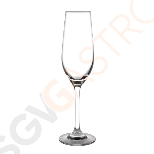 Olympia Chime Champagnergläser Kristall 22,5cl 6 Stück | Kapazität: 22,5cl | Kristall Olympia Chime Champagnergläser Kristall 22,5cl 6 Stück | Kapazität: 22,5cl | Kristall