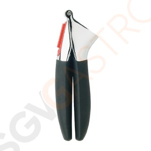 Nußknacker und Knoblauchpressen