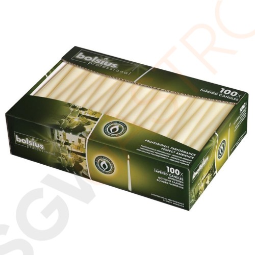 Bolsius Spitzkerzen elfenbein 25,4cm 100 Stück | 25,4(L)cm | Brennzeit: 7,5 Stunden | elfenbein Bolsius Spitzkerzen elfenbein 25,4cm 100 Stück | 25,4(L)cm | Brennzeit: 7,5 Stunden | elfenbein