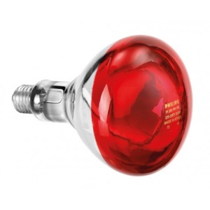 Bartscher Leuchtmittel Infrarotlampe für IWL250D